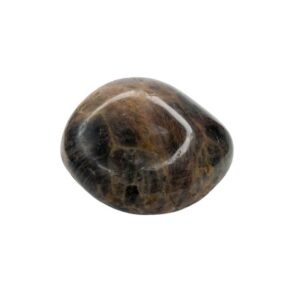 Black Moonstone Palm Stone